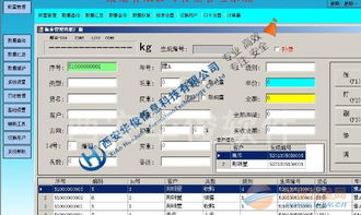 肉聯(lián)廠稱重軟件 基礎(chǔ)軟件服務(wù)的核心價值與實(shí)施要點(diǎn)